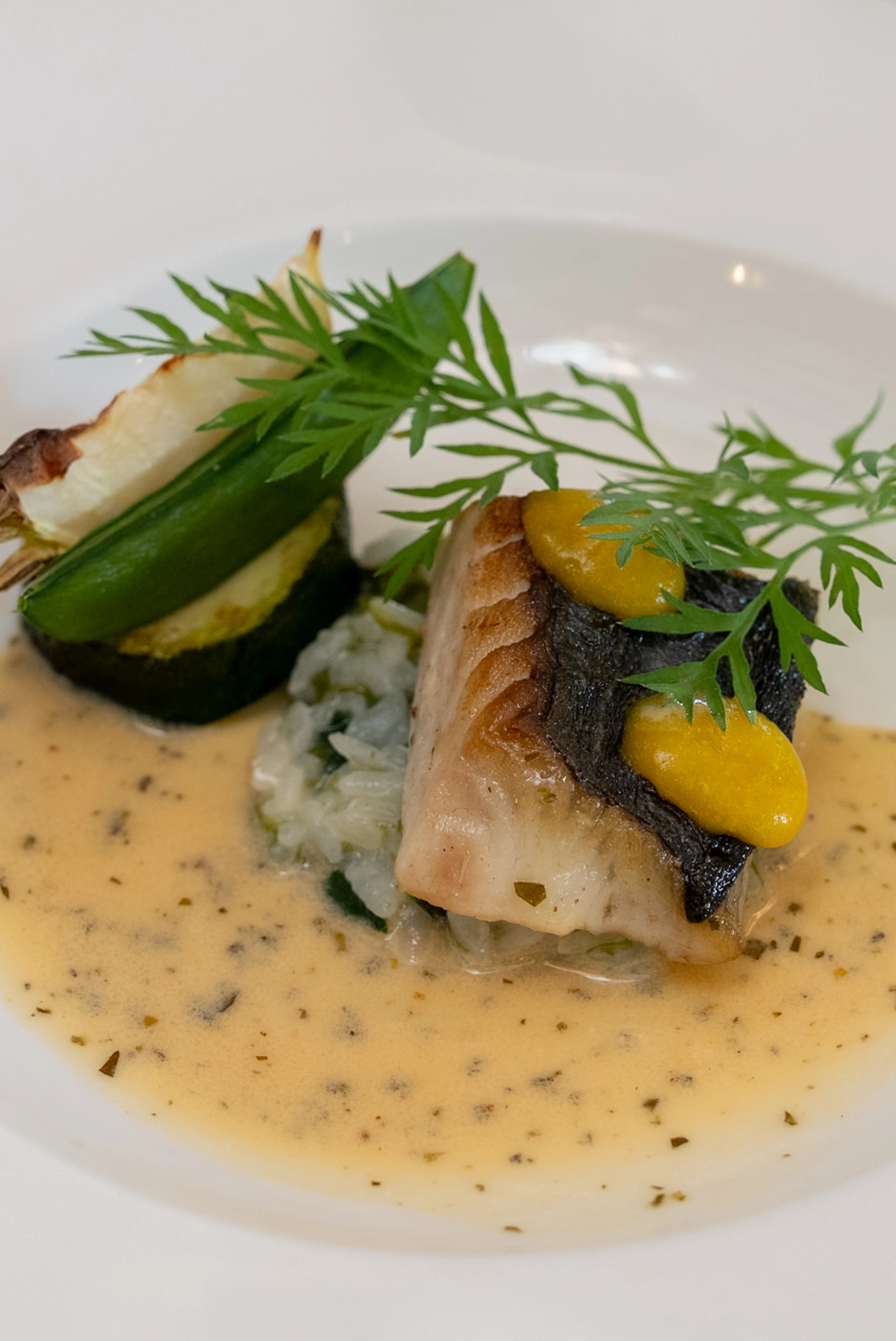 ランチの魚料理